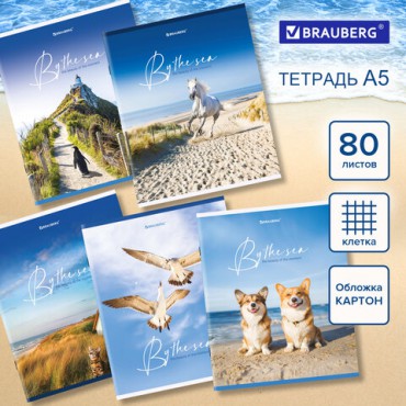 Тетрадь А5, 80 л., BRAUBERG, скоба, клетка, обложка картон, "By the Sea", 404410